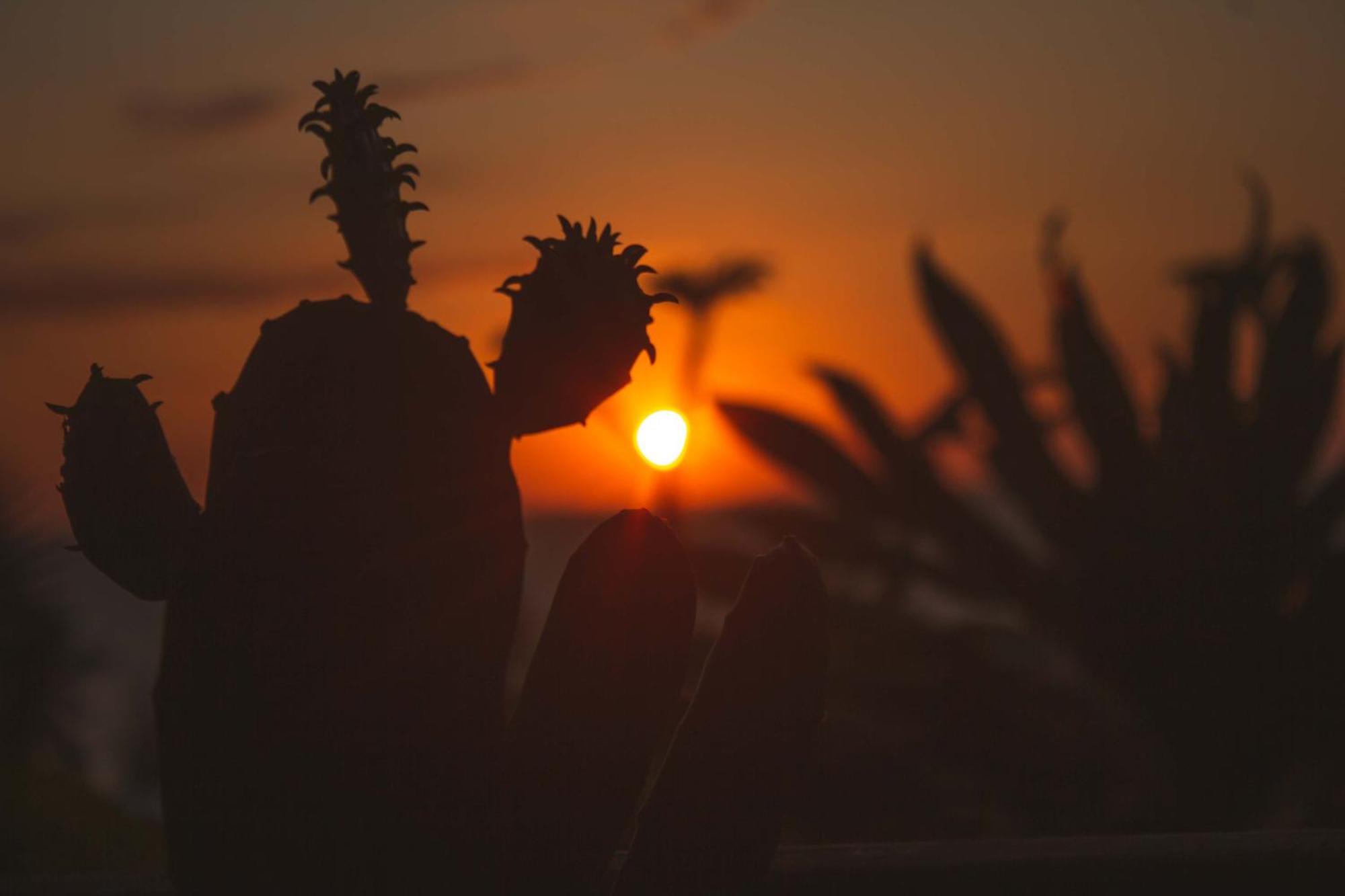 Coucher De Soleil Ambatoloaka (Nosy Be) Exterior foto